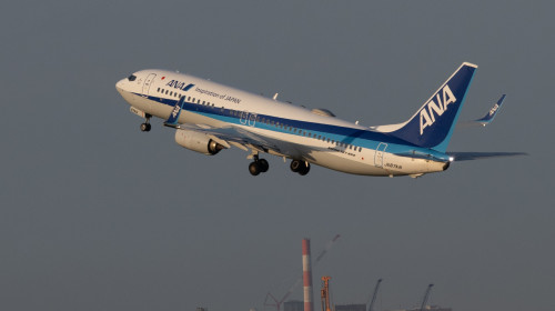 Un avion Boeing 737-800 al companiei japoneze ANA s-a întors pe pe aeroportul de plecare din Japonia/ Profimedia