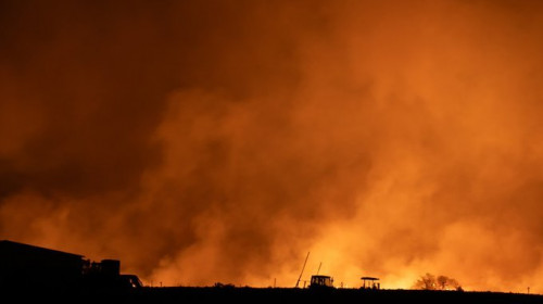 Incendiu de vegetația în Australia/ Foto: X