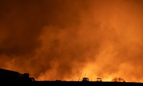 Incendiu de vegetația în Australia/ Foto: X