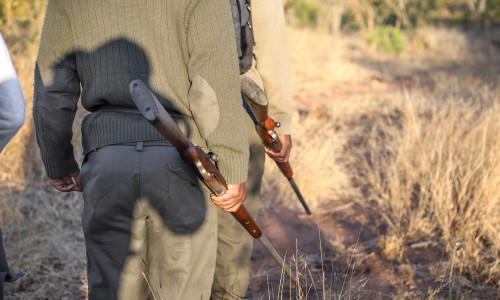 Braconaj/ Shutterstock