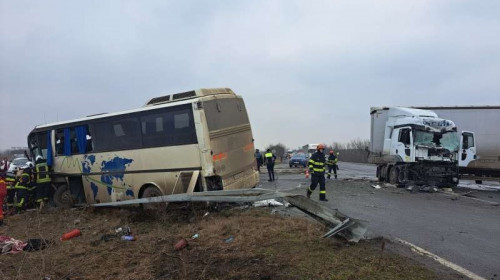 accident timiș