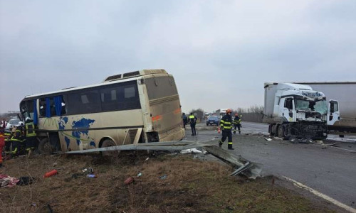 accident timiș