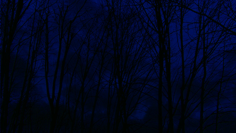 Bare,Tree,Branches,In,February,Weather,,Against,Blue,Sky,,Contrast