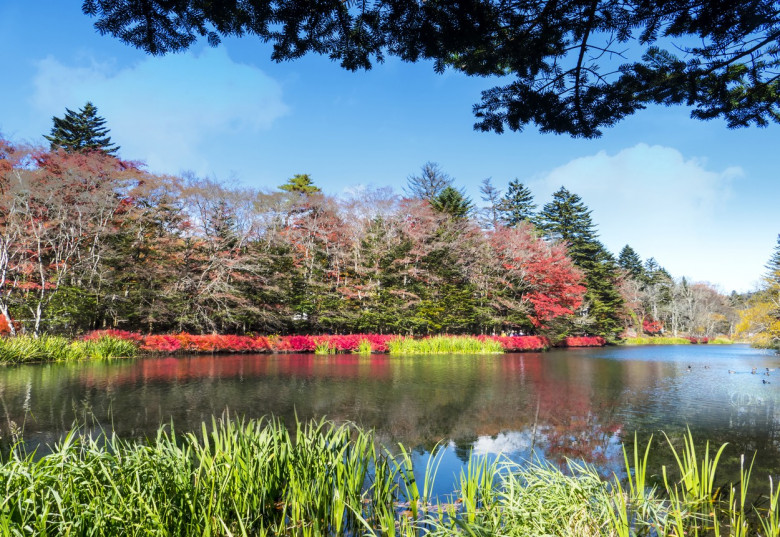 beautiful karuizawa during the fall season, Japan