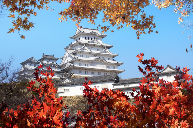 beautiful himeji castal in the fall season, Japan