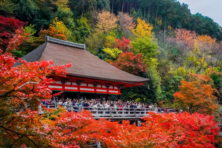 Kyoto Autumn Foliage Season in Japan - 24 Nov 2023