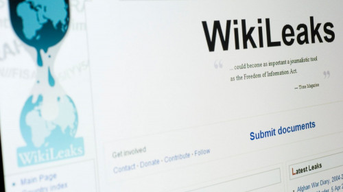 wikileaks website