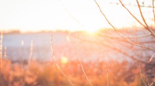 Sunset,Or,Sunrise,In,A,Winter,Park,With,Trees,Covered