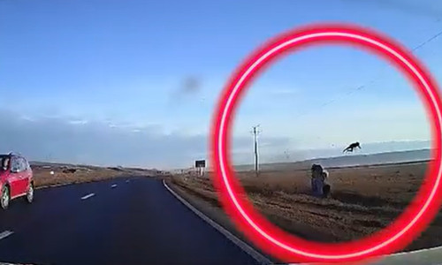 tanar proiectat din masina