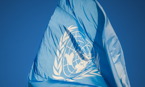 New,York,,United,States,-,19,September,2023:,Close,Up