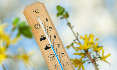 Vremea/ Shutterstock