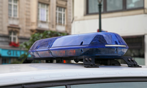 Poliție/ Shutterstock