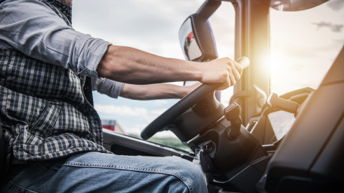 Șofer de camion/ Shutterstock
