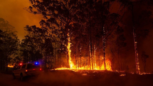 Incendiu vegetație Australia/ Foto: Twitter