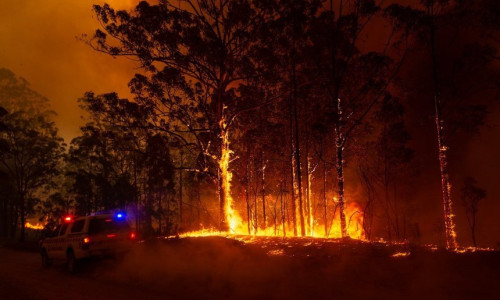 Incendiu vegetație Australia/ Foto: Twitter