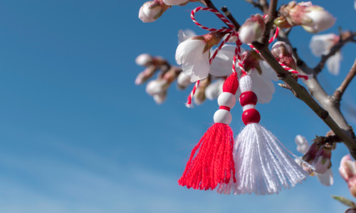 Spring,Background,With,White,Blossom,And,Bulgarian,Symbol,Of,Spring