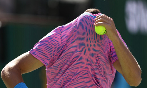 1indian wells bees profimedia-0856917103