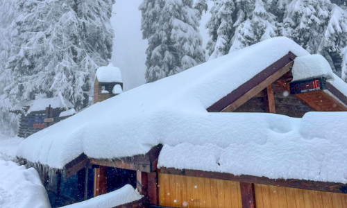 Zăpadă în Poiana Brasov