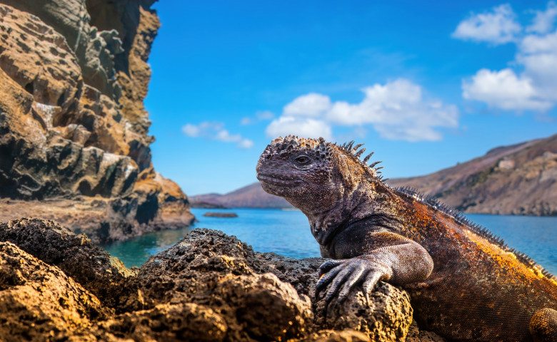 Ecuador.,The,Galapagos,Islands.,Beaches,Of,The,Galapagos,Islands.,Pacific