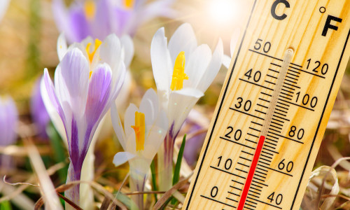 Vremea/ Shutterstock