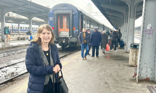 ambasadoarea sua kathleen kavalec