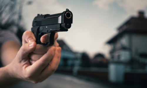 Un bărbat din Rusia, aflat sub influența alcoolului, a împușcat cei cinci câini ai unui vecin/ Foto: Shutterstock