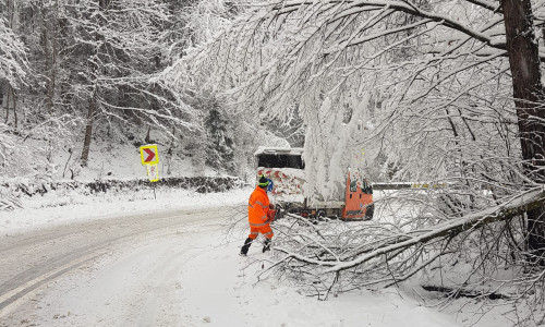 434149117_753792096887092_1021233385335126574_n