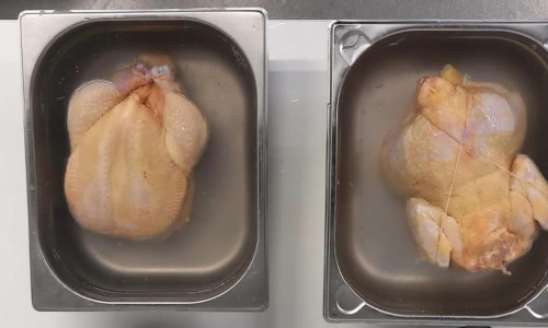 carne de pui