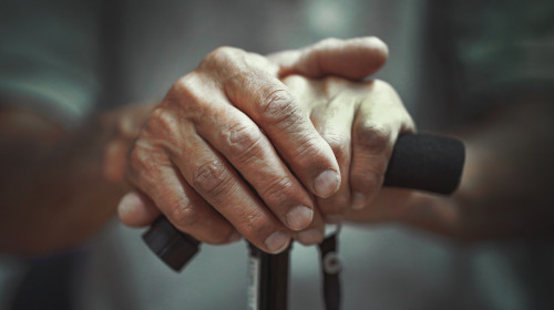 Hand,Of,A,Old,Man,Holding,A,Cane.,Senior,Man