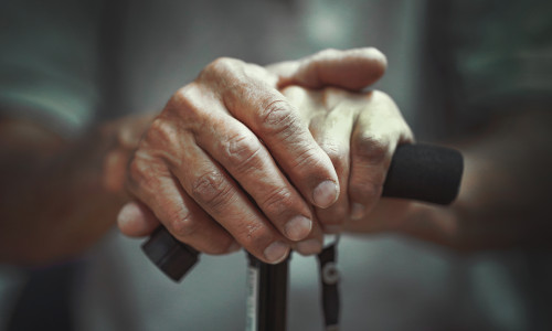 Hand,Of,A,Old,Man,Holding,A,Cane.,Senior,Man