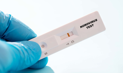 Negative norovirus rapid test, conceptual image