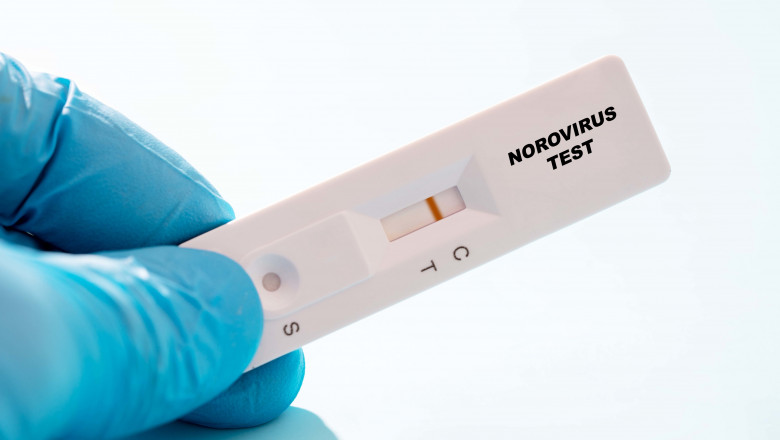 Negative norovirus rapid test, conceptual image