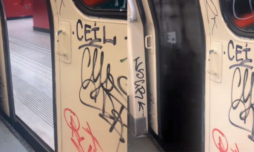 Un tren de metrou a circulat cu uşile deschise/ Foto: Captură video Tiktok
