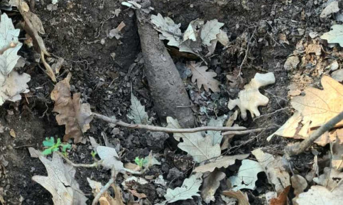 Un proiectil exploziv trasor a fost găsit în pădurea Vlad Ţepeş/ Foto: News.ro