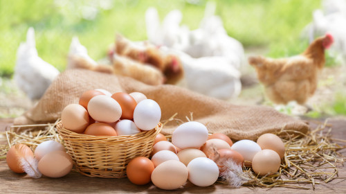 Basket,Of,Colorful,Chicken,Eggs,On,A,Wooden,Table,In