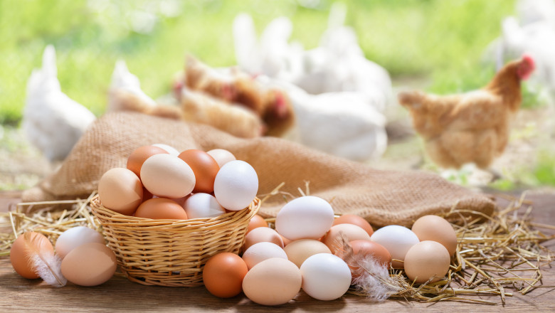 Basket,Of,Colorful,Chicken,Eggs,On,A,Wooden,Table,In