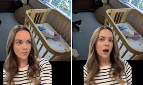 poza funny tiktok