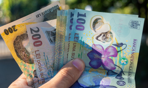 Romanian,Money,Hand.,Romanian,Lei,Currency,,Close,Up.,Romanian,Banknotes