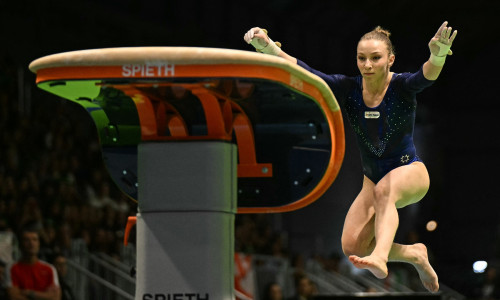 ana barbosu