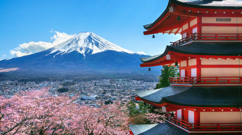 Cherry,Blossoms,In,Spring,,Chureito,Pagoda,And,Fuji,Mountain,In