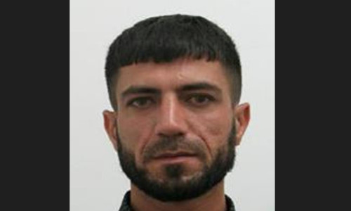 Barzan Majeed-scorpionul