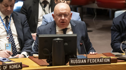 Security Council meeting: Non-proliferation