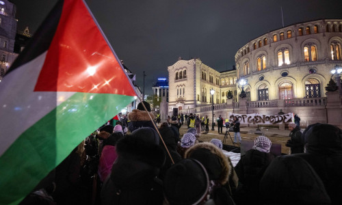 manifestatie Pro-Palestinia