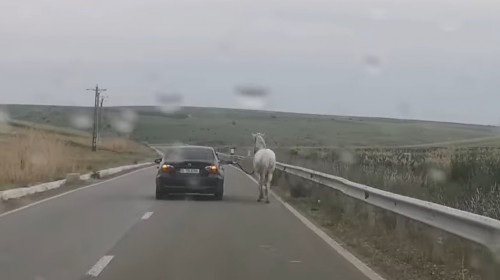 Cal plimbat cu BMW-ul, pe un drum din Moldova