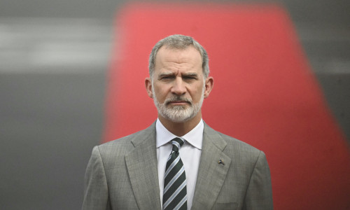 Regele Felipe al VI-lea al Spaniei/ Profimedia