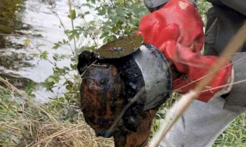 Video footage shows magnet fishers �saving the town� after pulling an unexploded grenade from a canal.