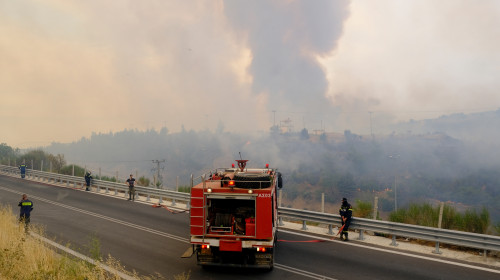 Incendiu de vegetație în Grecia/ Foto: Shutterstock