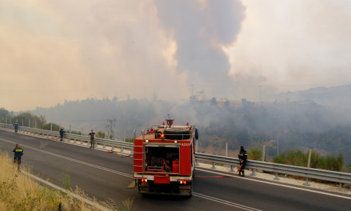Incendiu de vegetație în Grecia/ Foto: Shutterstock