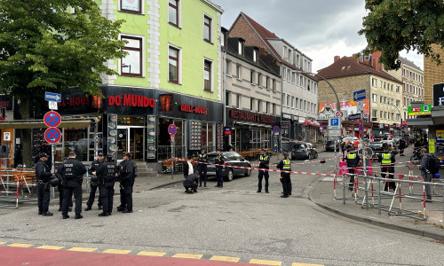 Police shoot man with pickaxe