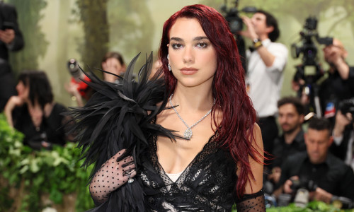 The 2024 Met Gala Celebrating 